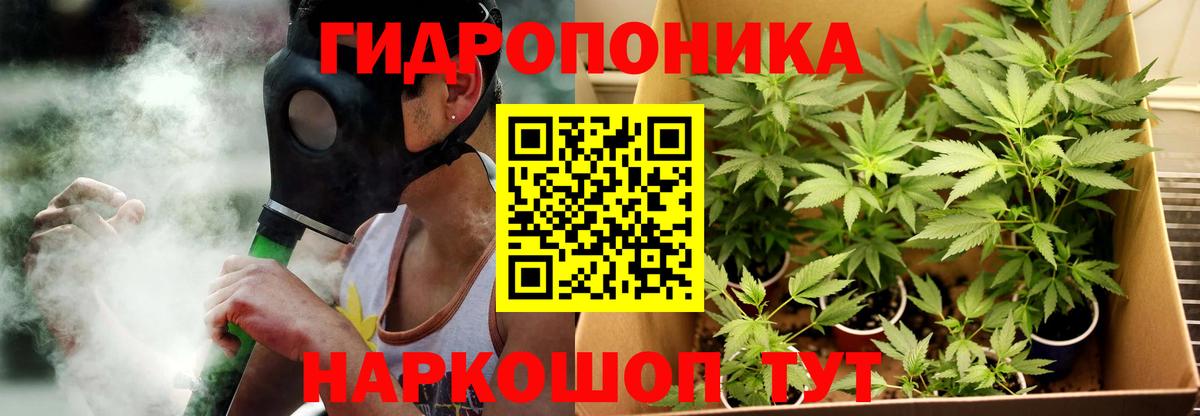 МАРИХУАНА сатива Гудермес